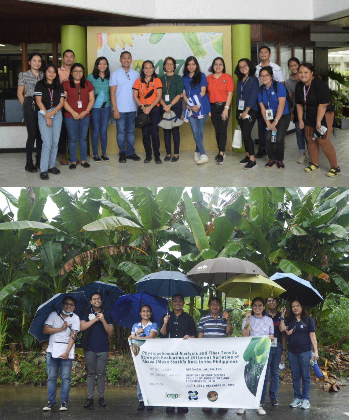 CRD officials and key staff with project teams from IPB-CAFS (top) and iCrops-CAFS (bottom). (Image Credit: Crops Research Division, DOST-PCAARRD)