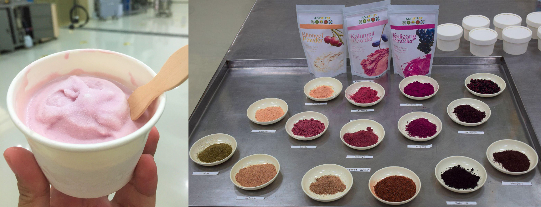 (L) A cup of Baligang ice cream, distinct for its creamy and frozen yogurt-like taste and (R) indigenous CALABARZON fruits optimized into food colorants and flavorings