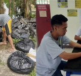 Mussel project champions zero-waste: mussel shell to be valorized as nanomaterials