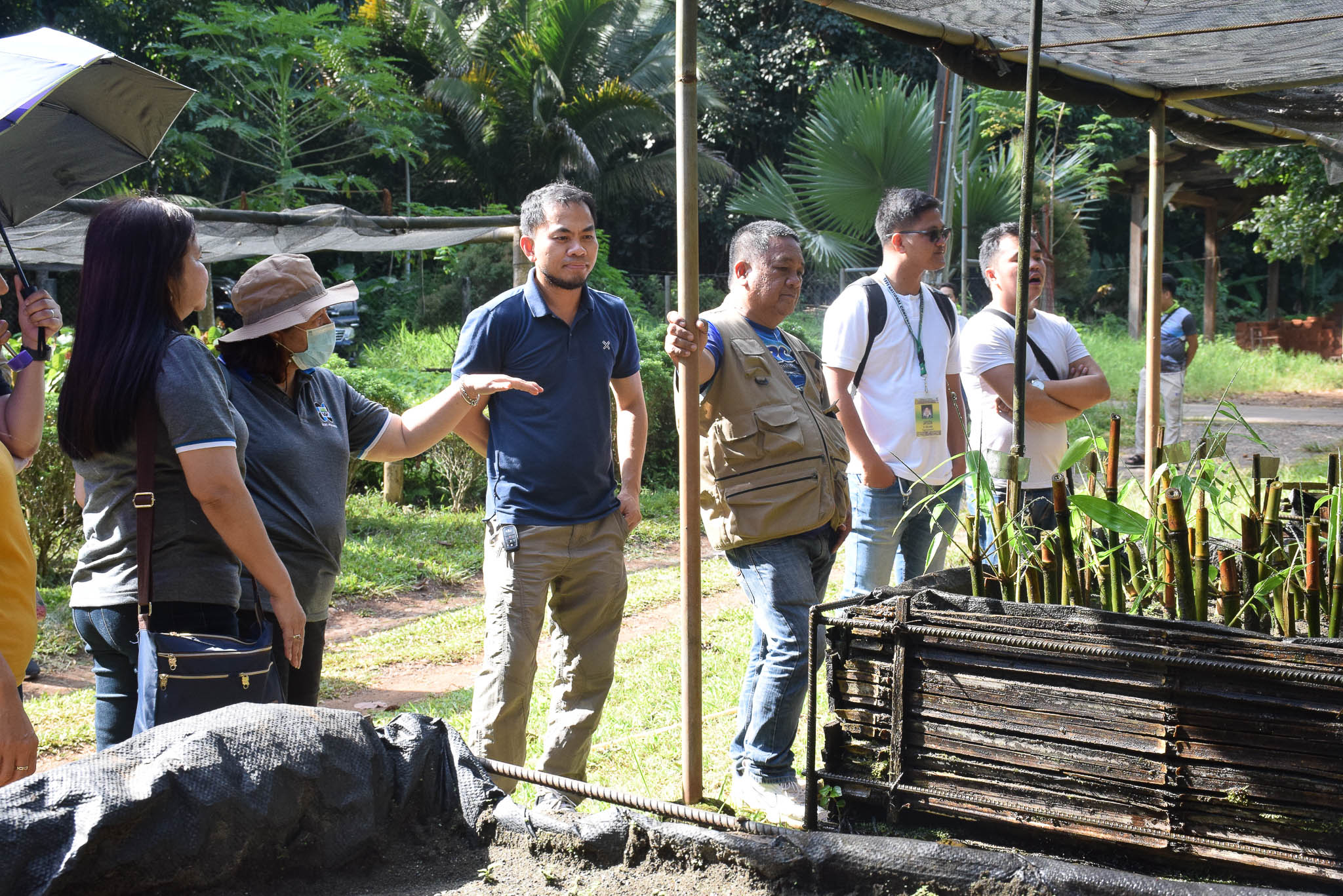 DOST-PCAARRD FERD reviews CMU projects on Bamboo and ITP