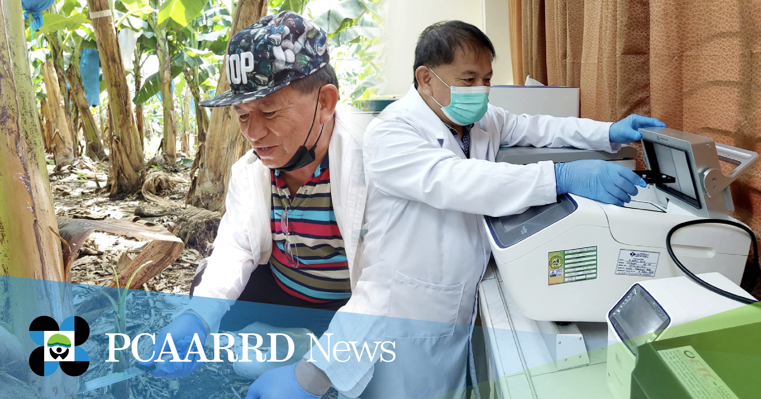 Dr, Barlaan, lead developer of the DNA Probe Kit for Banana Diseases that aims to provide farmers with a way to test their crops for infections for smarter and better farm management. (Image credit: University of Southern Mindanao)