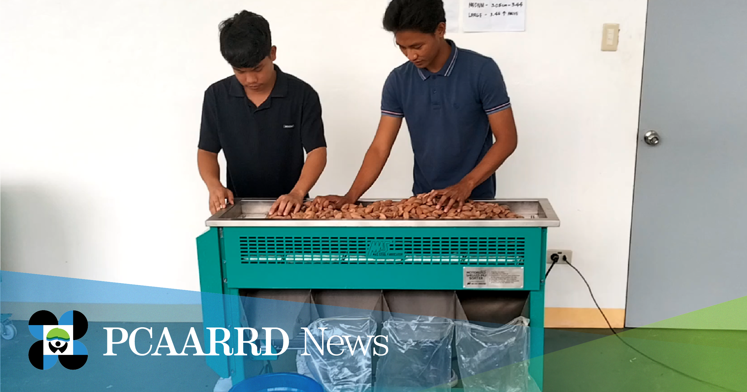 The pili sorting machine can sort around 25,000 pieces of pili fruit or nuts per hour with guaranteed zero damage to the pili. Image Credit: ACD, DOST-PCAARRD