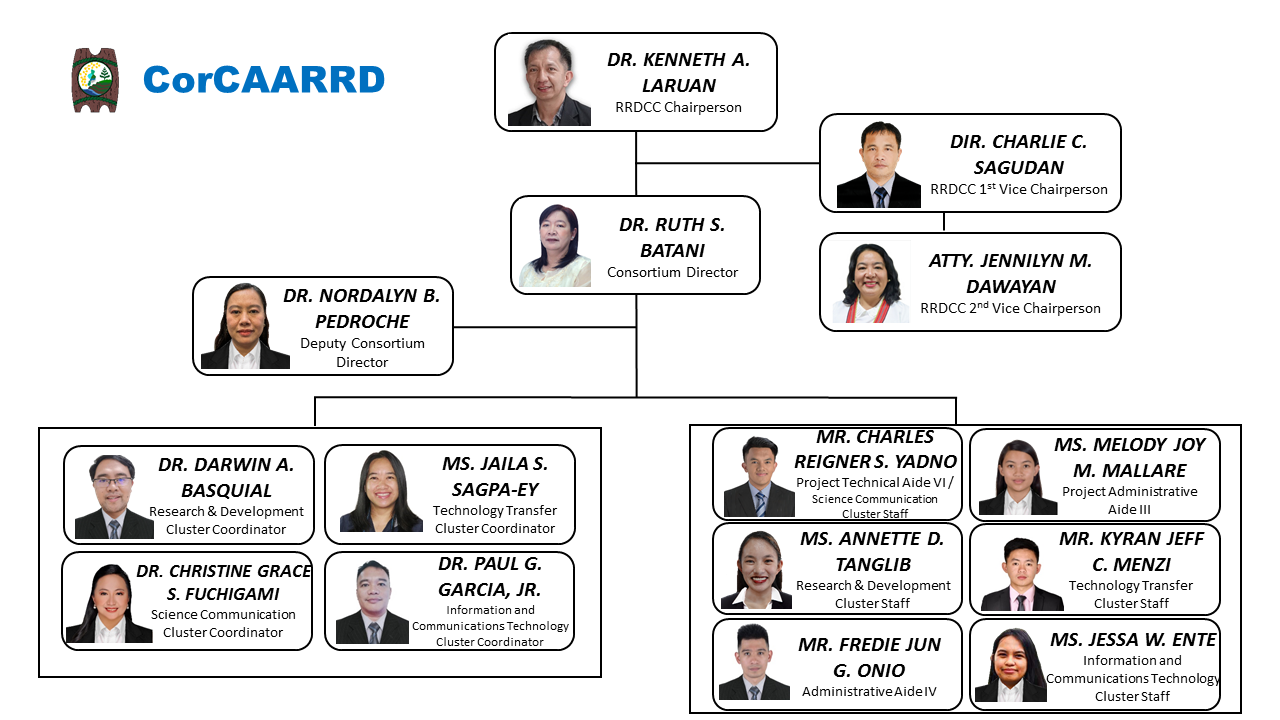 corcaarrd-org-structure_cy-2025.png