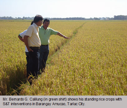 ‘Worm compost’ eases El Niño effect on rice seed production
