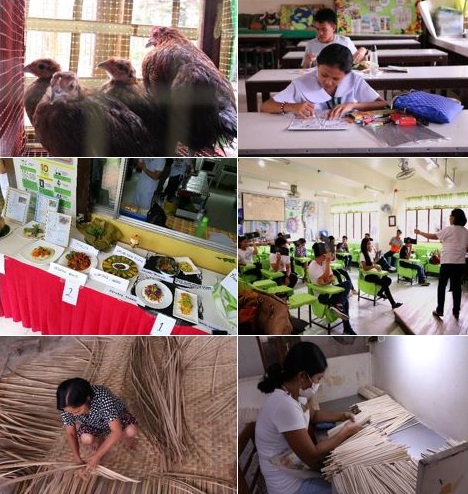 The different activities during the WESVAARRDECs FIESTA 2017. Image credit: Jamsie Joy Perez, Applied Communication Division, DOST-PCAARRD.