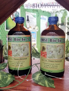 The eco-friendly Bio-In3 biopesticide to eliminate tomato fruitworm